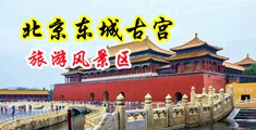 黑人狂草大屁股风骚美女人妻视频中国北京-东城古宫旅游风景区