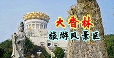8x8x黄色网页在线看中国浙江-绍兴大香林旅游风景区